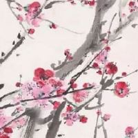 1斗9簸箕什么命运女孩 一生总有发财之日