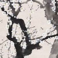 女生前世是神仙的标记 耳垂要比常人大得多