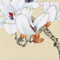 手机号1111好还是2222好 好意头易记手机号