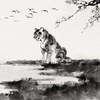 1986年,他成了虎的尽头。在第86期,他几年了。