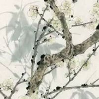 属龙和属虎的婚姻会怎么样 并肩前进幸福携手