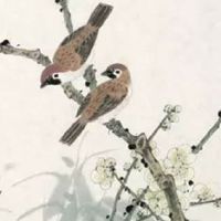 男龙女虎婚姻是否相配 天作之合的一对