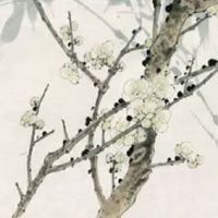 属龙人最佳婚配表 良缘相配鼠猴鸡