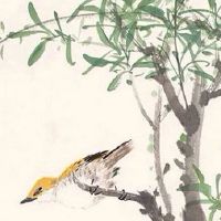 2022年5月3日出生属虎男宝宝命好吗 荣华近贵 人缘上佳