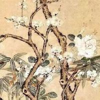 2022年5月1日出生女孩命理好不好 财源滚滚 足智多谋