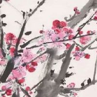 1个斗的男人命运最好 6斗4簸箕前途不可限量