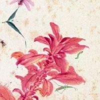 手相最准钱财纹 好的财运线清晰深长