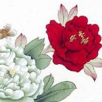 易经数字能量对照表 寓意美好聚财号码