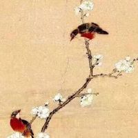 2022年5月9日出生的男孩五行缺什么,是什么命 聪明伶俐