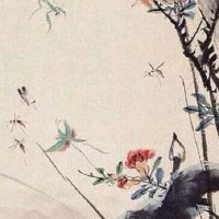 2022年5月7日出生属虎男孩是什么命 和蔼可亲 钱财不缺