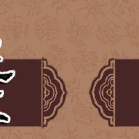 字母牌照号码的含义不会出现在车牌中