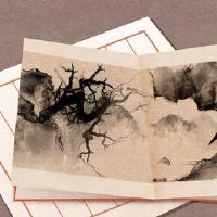 让公司担任XXXI冉冉升起的孙东生的名字