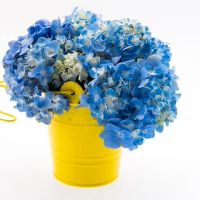 海百合周星座财富(4.4-4.10)