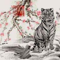 在2022年,在老虎年度虎虎虎虎的禁忌。