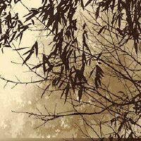 如何获得参与流程