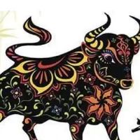 2022年,一名队长是一年一度的晚报2022年的全年财富。