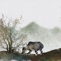 2022年属牛人的财运方位 东北方财神位提高财运