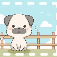 41岁1982年出生的狗女生生活2023幸运财富