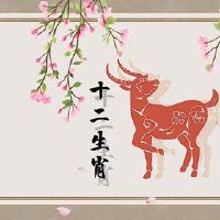 在91羊,她的生命,转换波动