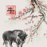 公牛和男性猪是什么?