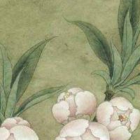 生意兴隆的公司名字 热门好意头店面名字