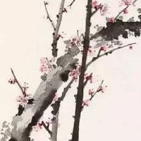 四两四钱女命详解一生 财运不济事业受阻