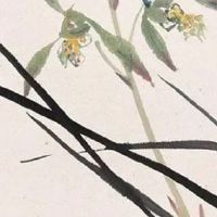 四两命的女人婚姻怎么样 早期感情起伏