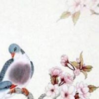 数字学算命手机号码表 富贵吉利靓号数组