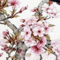 手机号码组合磁场表 大富大贵手机数组