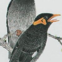 手机号码数字能量磁场表 招财富贵靓号数组