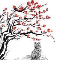 74虎的幸运数字车牌是老虎人买车。