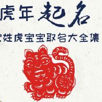 沈姓虎宝宝取名大全集