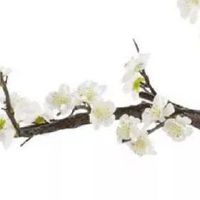 养牛养殖场起名大全 吉利名字大全