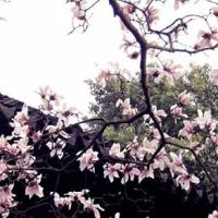 2022年5月属兔的人买新房好不好 买尾数0的楼提升财运