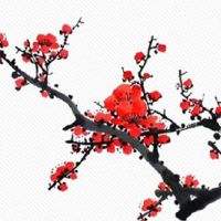 佛说长得特别漂亮的人多劫难 容易自私且狭隘