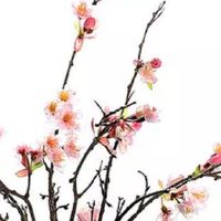 关于农业种植的公司名称 农业公司名字大全