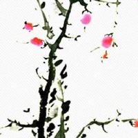 有耳垂和没耳垂哪个好 情感敏感感情不稳定