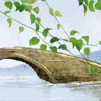 女人穿着和平扣除?改善气质