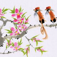 2022年6月26日提车好不好 农历五月二十七可以买新车吗