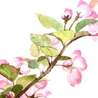 2022年6月21日提车好不好 农历五月二十二可以买新车吗