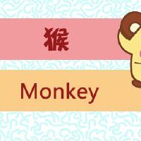 2022桃花抢劫黄道带男性猴子是一个兔子