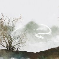 在未来10年的过去10年中,76