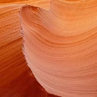 孩子的命运是什么?