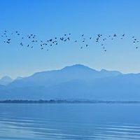 这是一个好女孩吗? snow