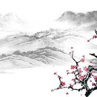 2022年5月27日出生的女孩子是什么命 富有智慧 人缘运强