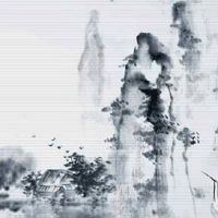 2022年5月29日出生的属虎女宝宝命理好不好 事业大吉 婚姻美满