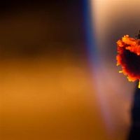 百变巫女一周星座运势(4.11-4.17)