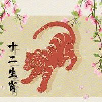 什么样的衣服是最强大的,穿什么颜色?