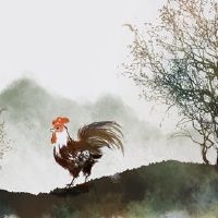 2022年出生的人如何成为鸡2022全年财富