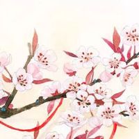 3个斗的女人有福气吗 一生奔波劳累